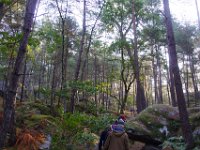 2016-10-09 Les gorges d Apremont 0019